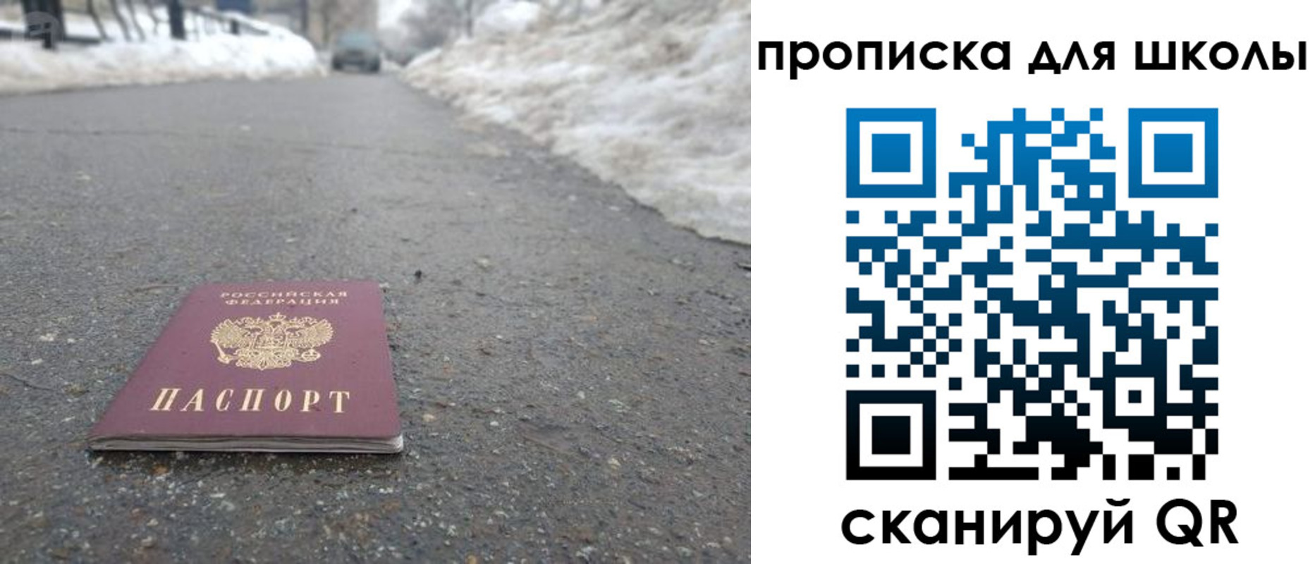прописка для школы в Сланцах